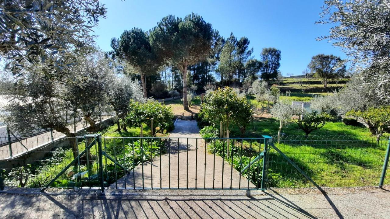 Casa Jone Villa Tomar Bagian luar foto